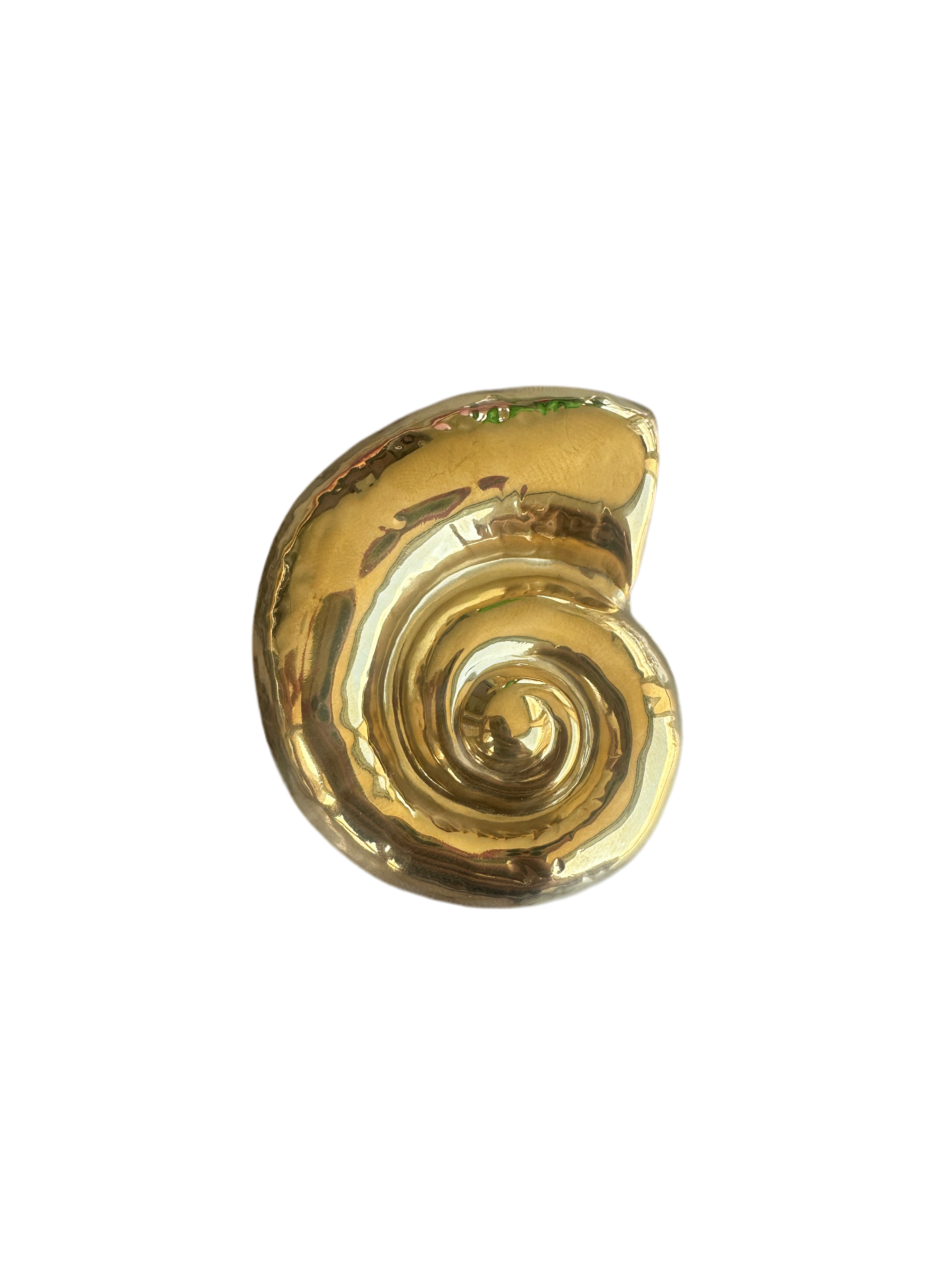 SUMMER SHELL (GOLD)