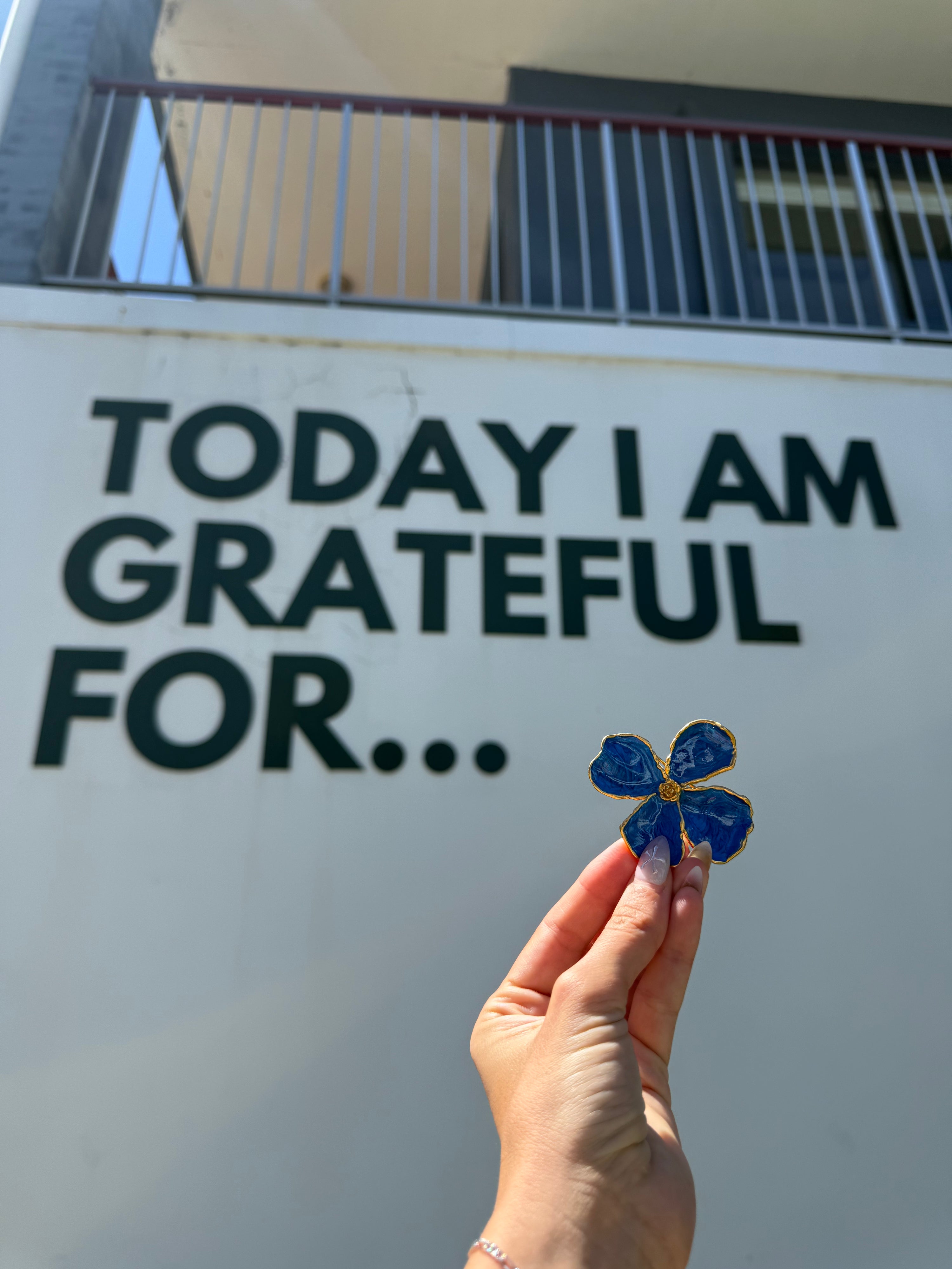 SOFT ERA (DEEP BLUE)